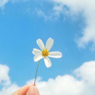 苍穹战机h5手游下载